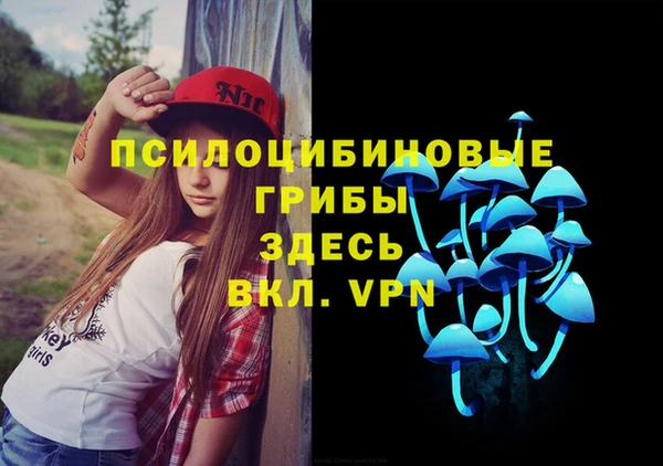 винт Алексин