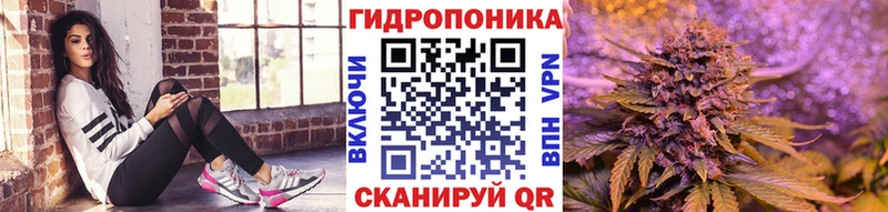МАРИХУАНА план  Суджа 